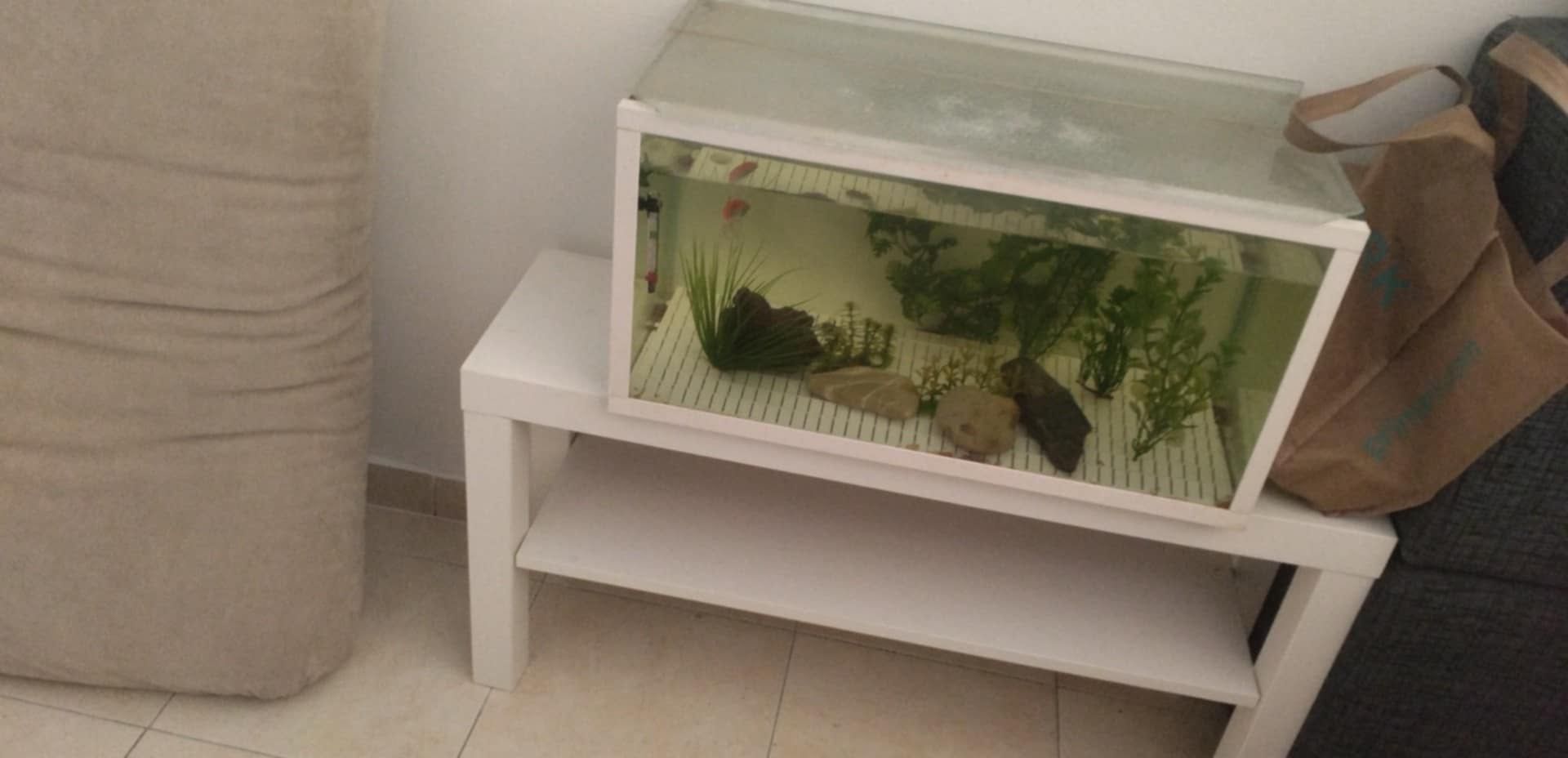 3 aquários para vender