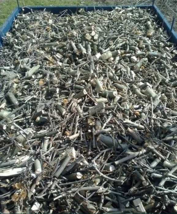 Подрібнювач гілок Оренда гілкоруб веткоруб измельчение веток дрова