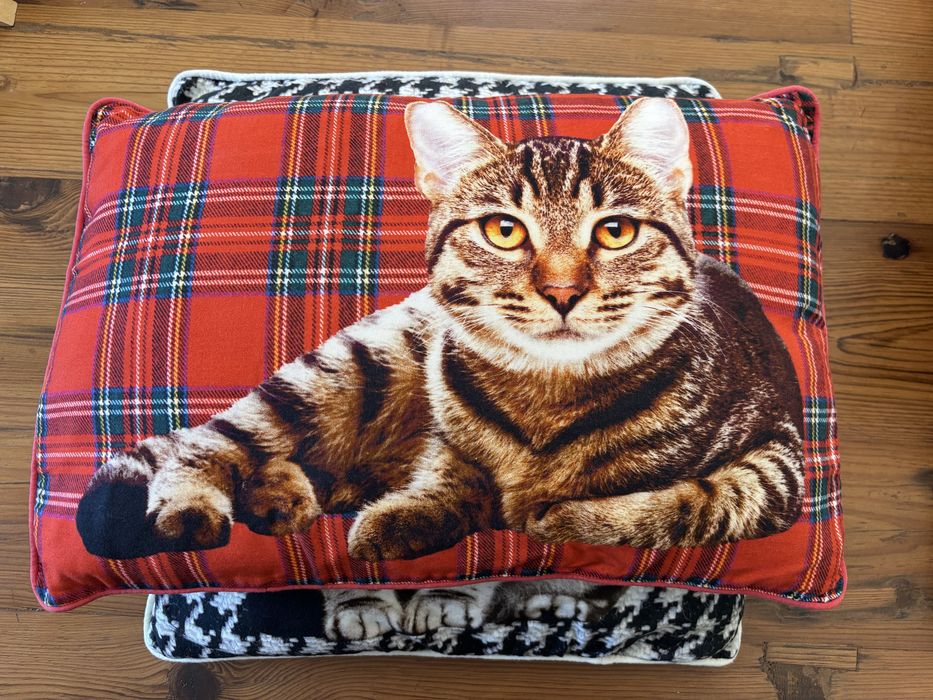 Almofadas  Gatos hiperrealista  da Loja do Gato Preto