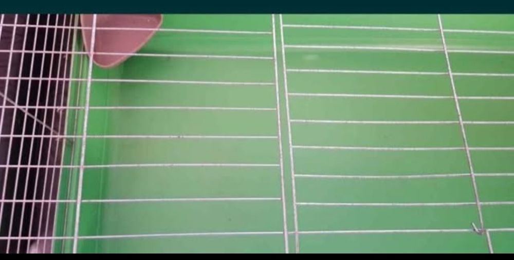 Duża klatka dla królika, świnki morskiej