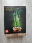 LEGO Botanicals 10344 Dracena Sandera - Nowy, 325 elementów