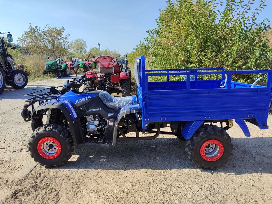 Квадроцикл Грузовой Forte 250 BST доставка по Украине без предоплаты