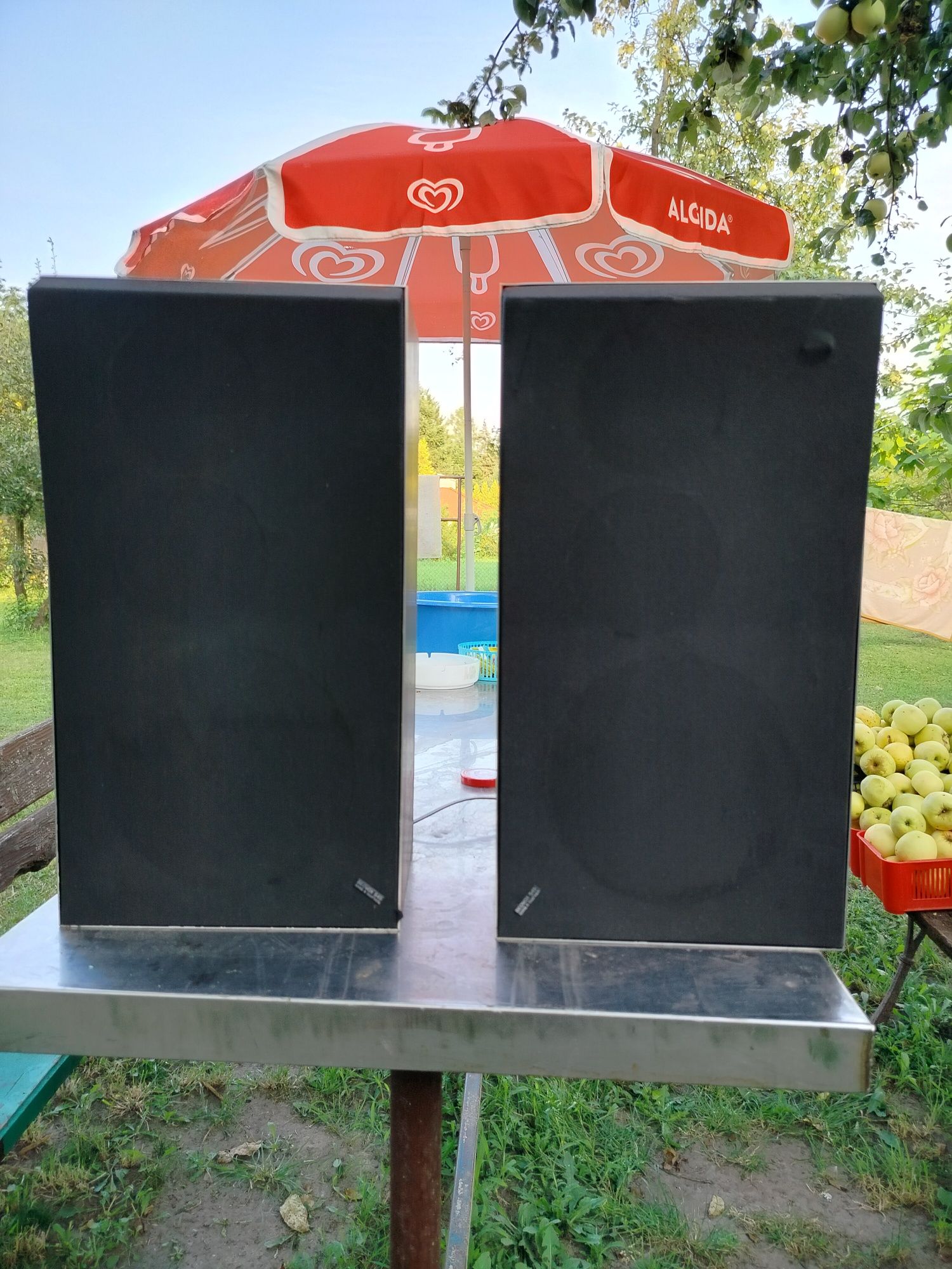Kolumny Bang&Olufsen BeoVox S45-2