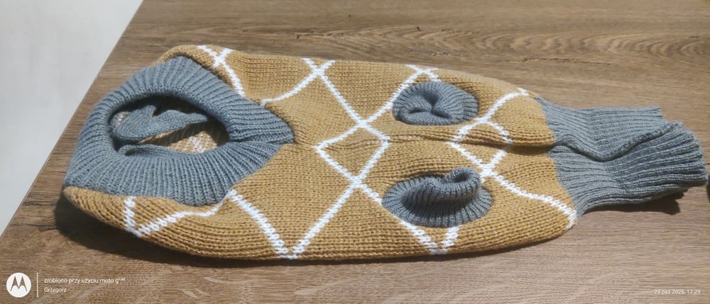 Sweterek dla psa kota