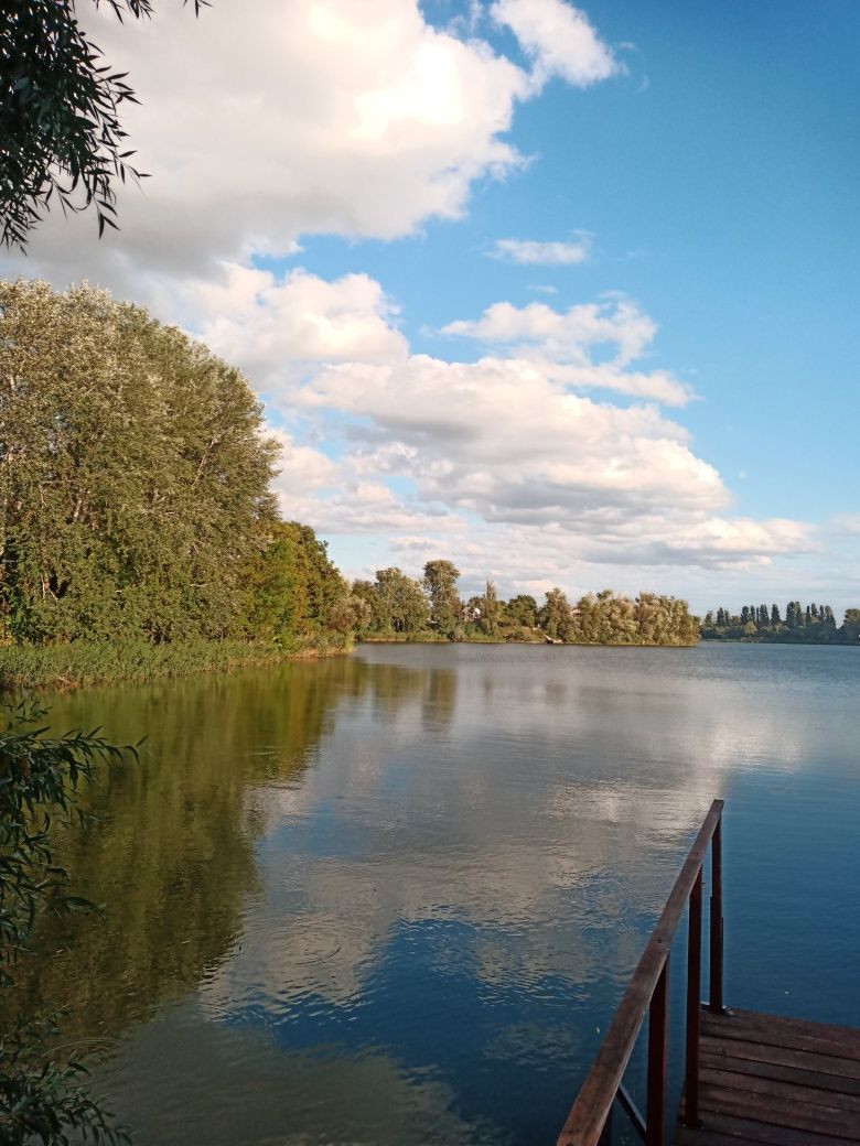 Здам будинок,лазню,альтанку. Затишне місце.