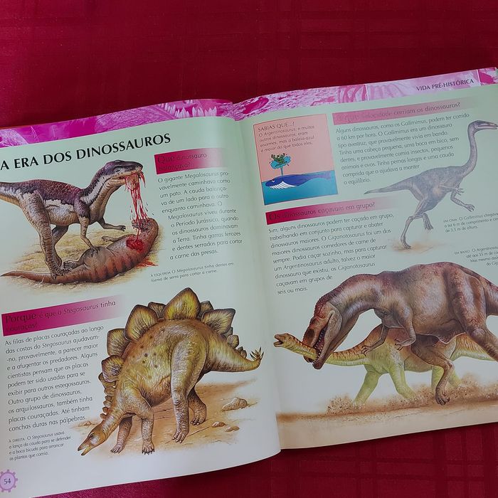 A Enciclipédia do Conhecimento NOVA