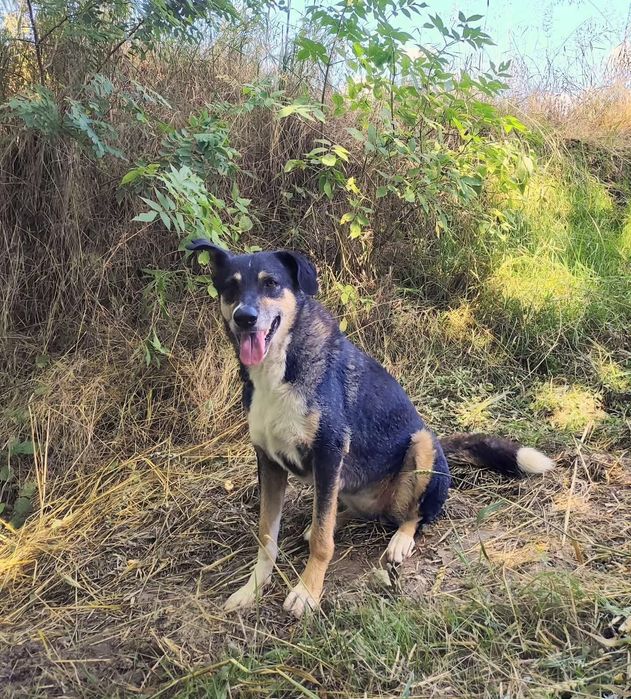 Roxi czeka na Ciebie