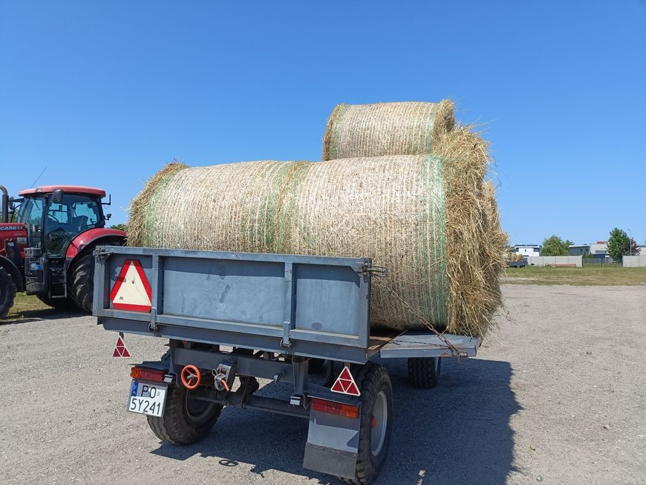 Siano z tegorocznych zbiorów