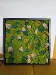 Obraz z mchu 50x50