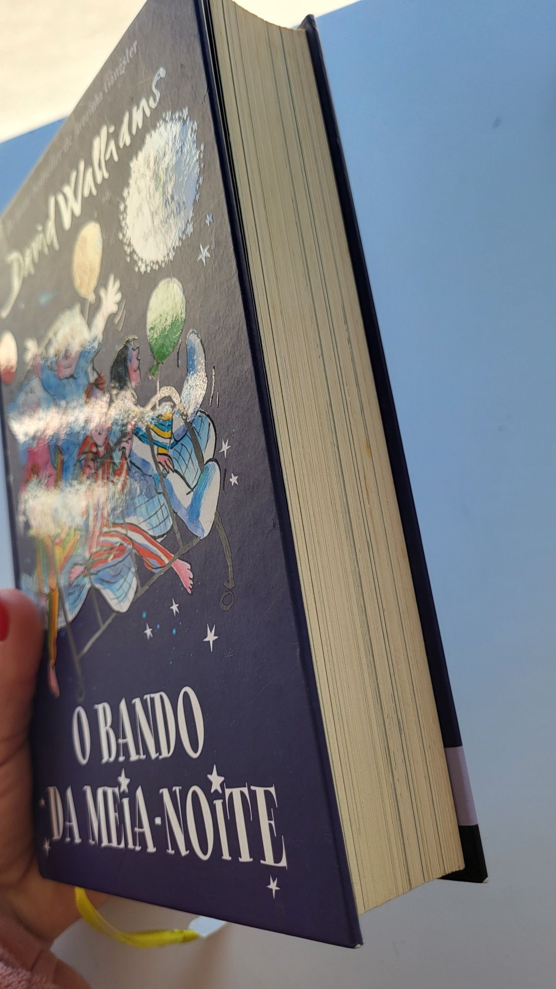 Livro O Bando da Meia Noite - David Walliams