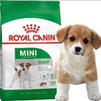 Royal Canin Adult Mini Karma Sucha 8kg Premium dla Psów Dorosłe Małe R