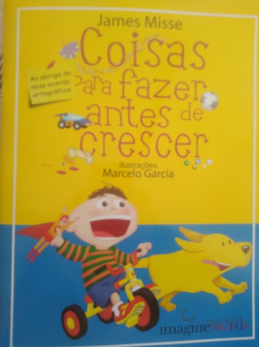 livro coisas para fazer antes de crescer NOVO