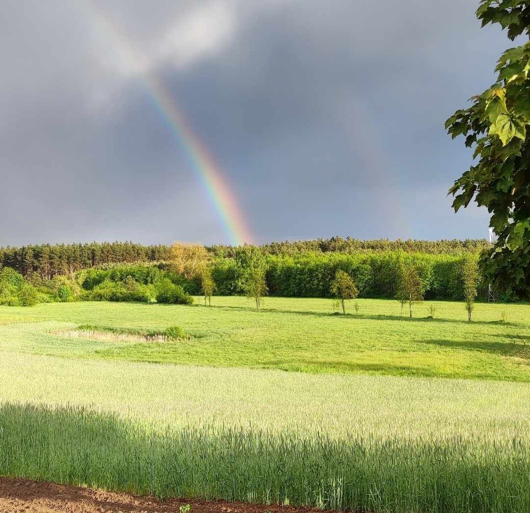 Sprzedam działki na jeziorem Czarny Bród