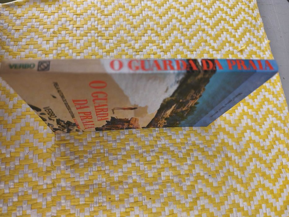 O GUARDA DA PRAIA – 
Maria Teresa Maia Gonzalez