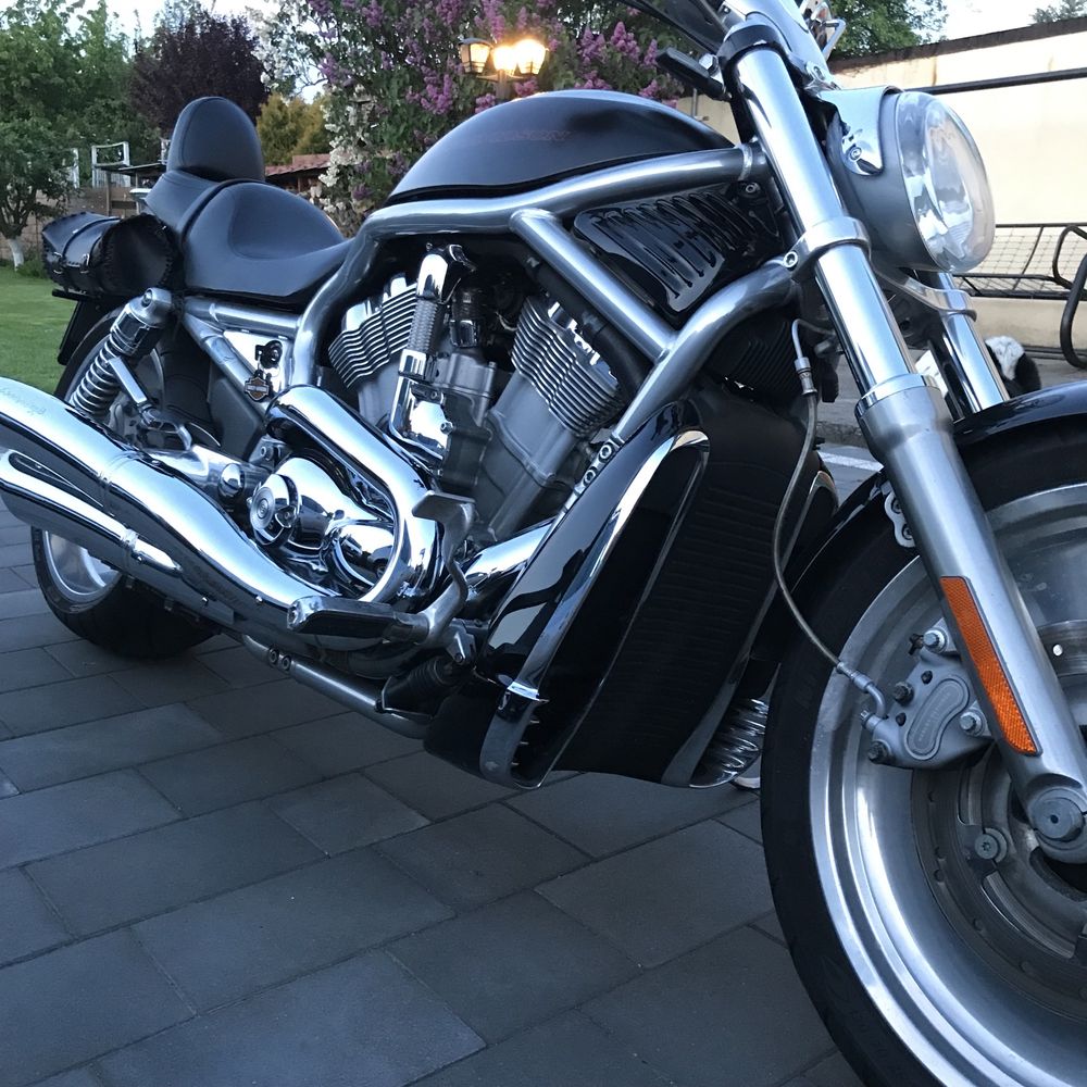 Harley - Davidson  V- Rod. Europejczyk