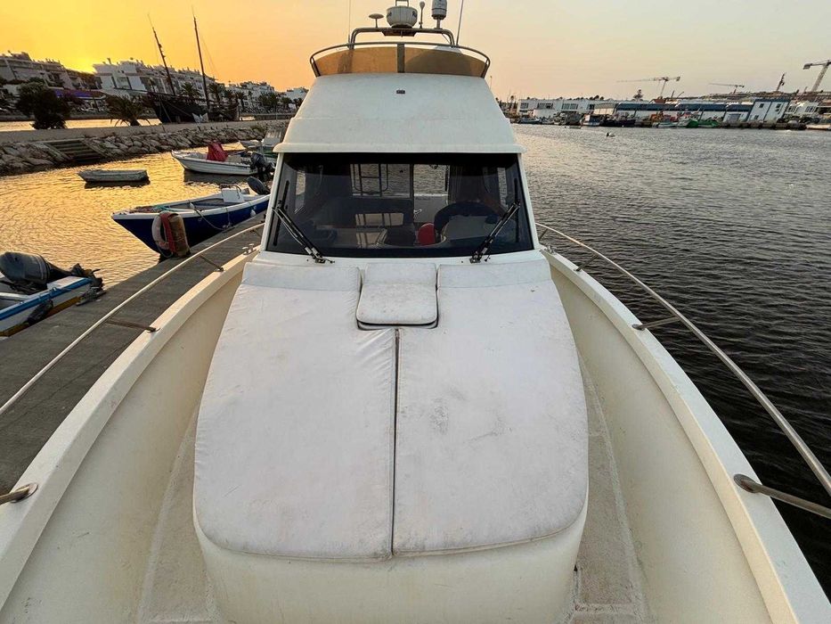 Barco Rodman 1170 IPS