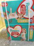 Pampers Pants 6 ,168sztuk