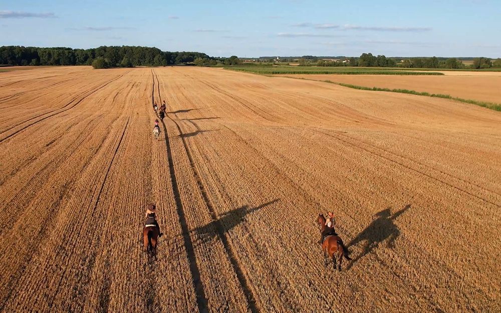 DRON dronem usługi FILMY 4k ZDJĘCIA WIDEO eventy nieruchomości działki