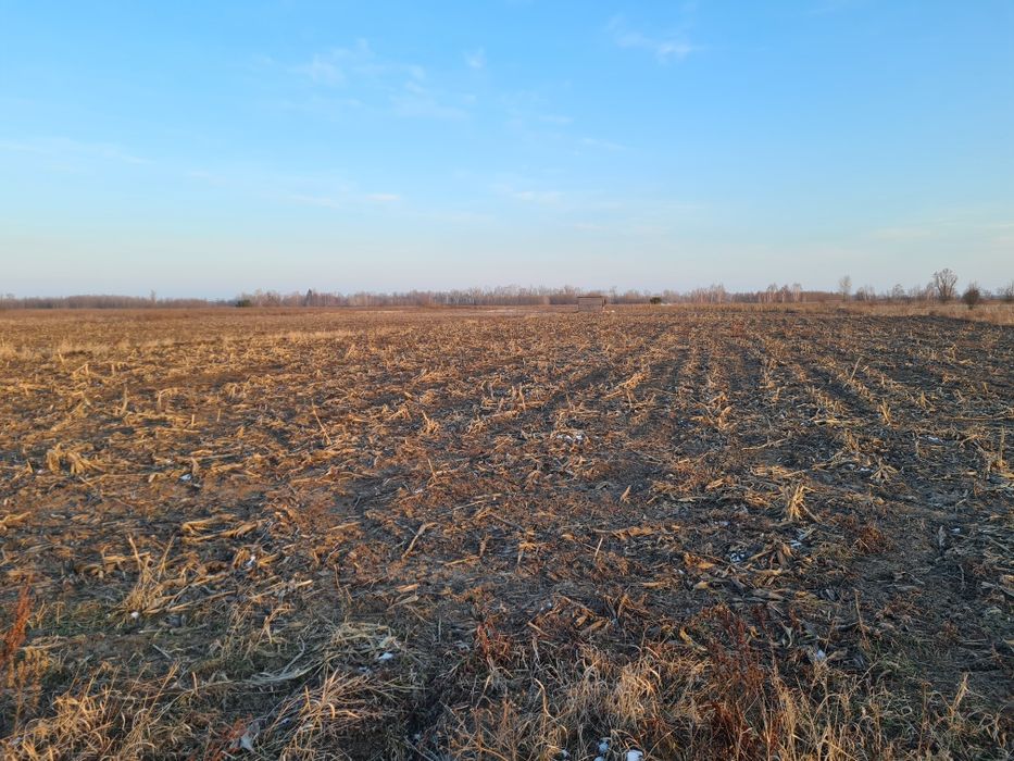 Оренда землі, 2,15га, с.Вища Дубечня,  під сад, овочі, теплиці, інше