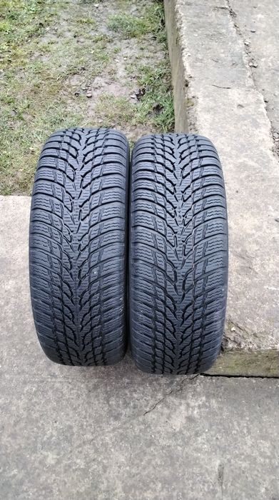 Шини зима 185 60 14 NOKIAN