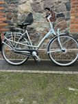Rower Batavus Mambo