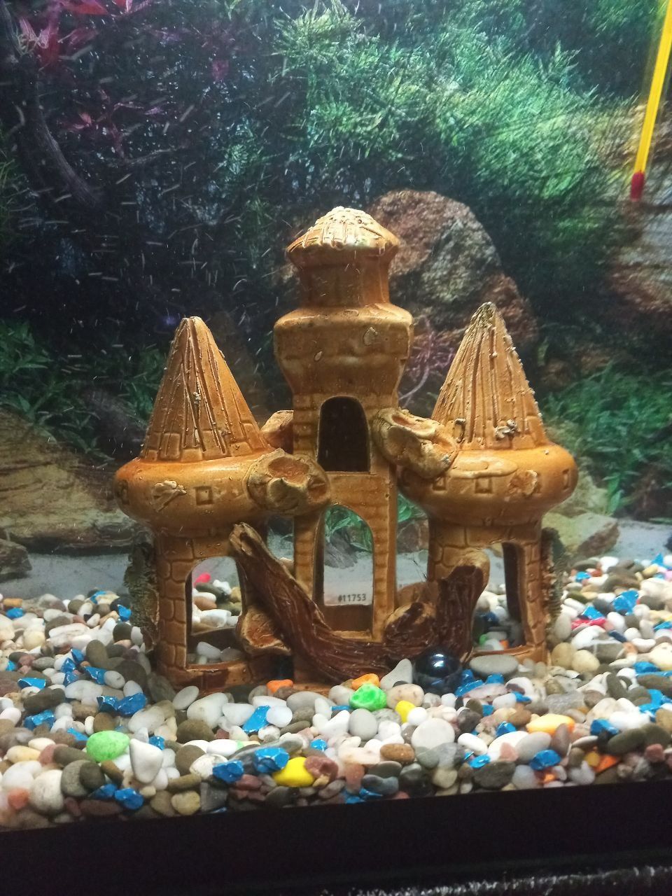 Продам акваріум із золотими рибками