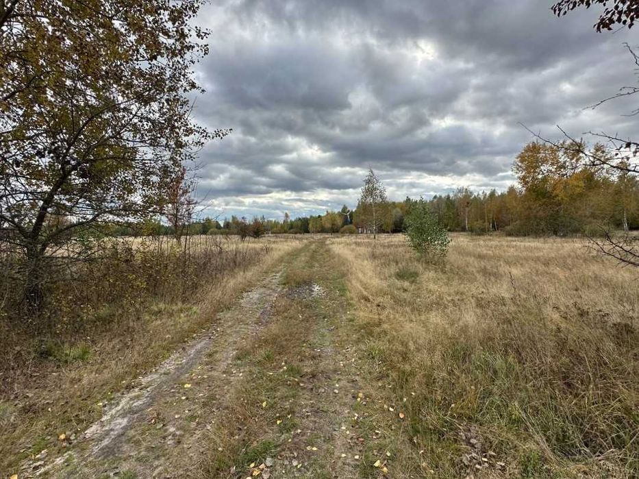 Продаж ділянки 12сот під садівництво. В оточені хвойного лісу. ID:462