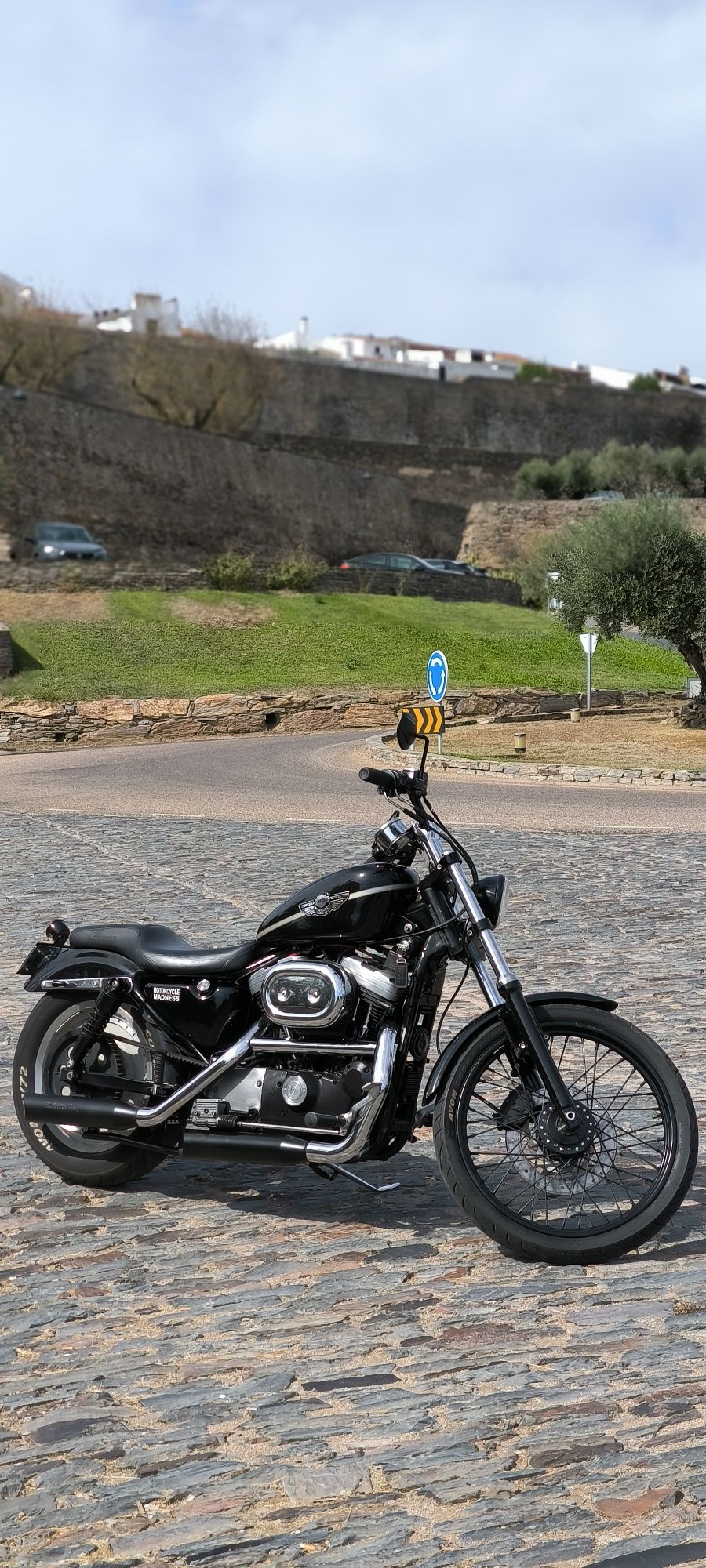 Harley Davidson 883 Custom
