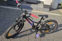 Rower Trek Precaliber 20 7-biegowy