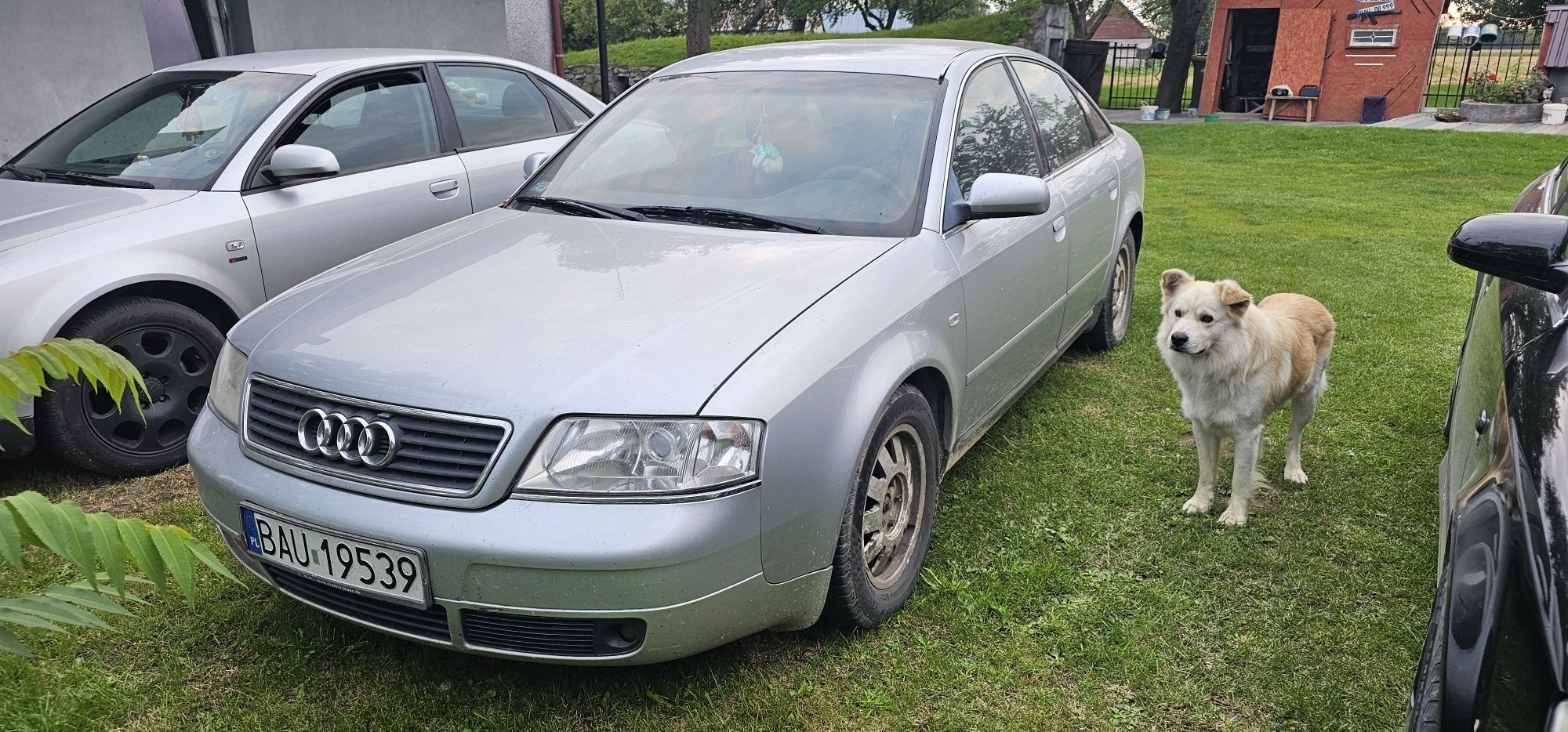 Audi A6 C5 1.8 Turbo - uszkodzony silnik ( pukanie w górnej części )