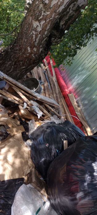 Oddam gratis drewno sosnowe do palenia