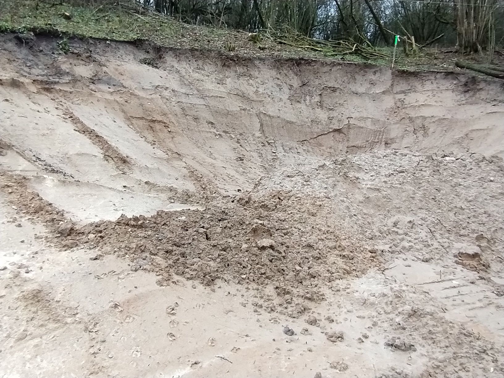 Oddam dużą ilość ziemi z wyrownanego terenu ziemia czysta