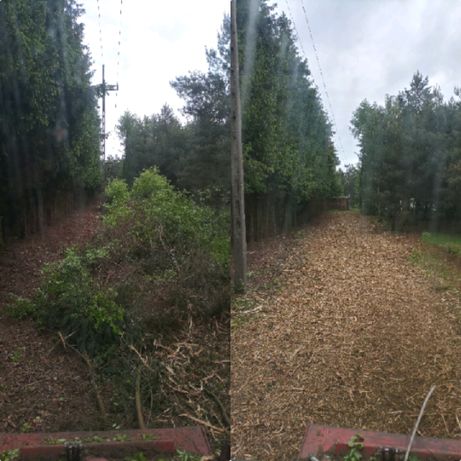 Wycinka drzew transport drewna mulczer karczowanie działek