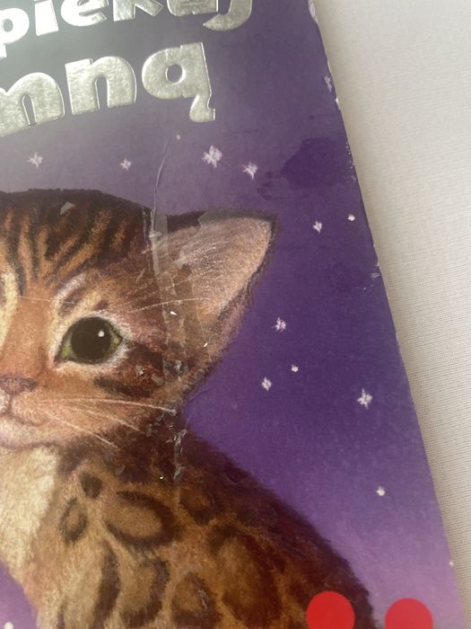 Książka Zaopiekuj się mną