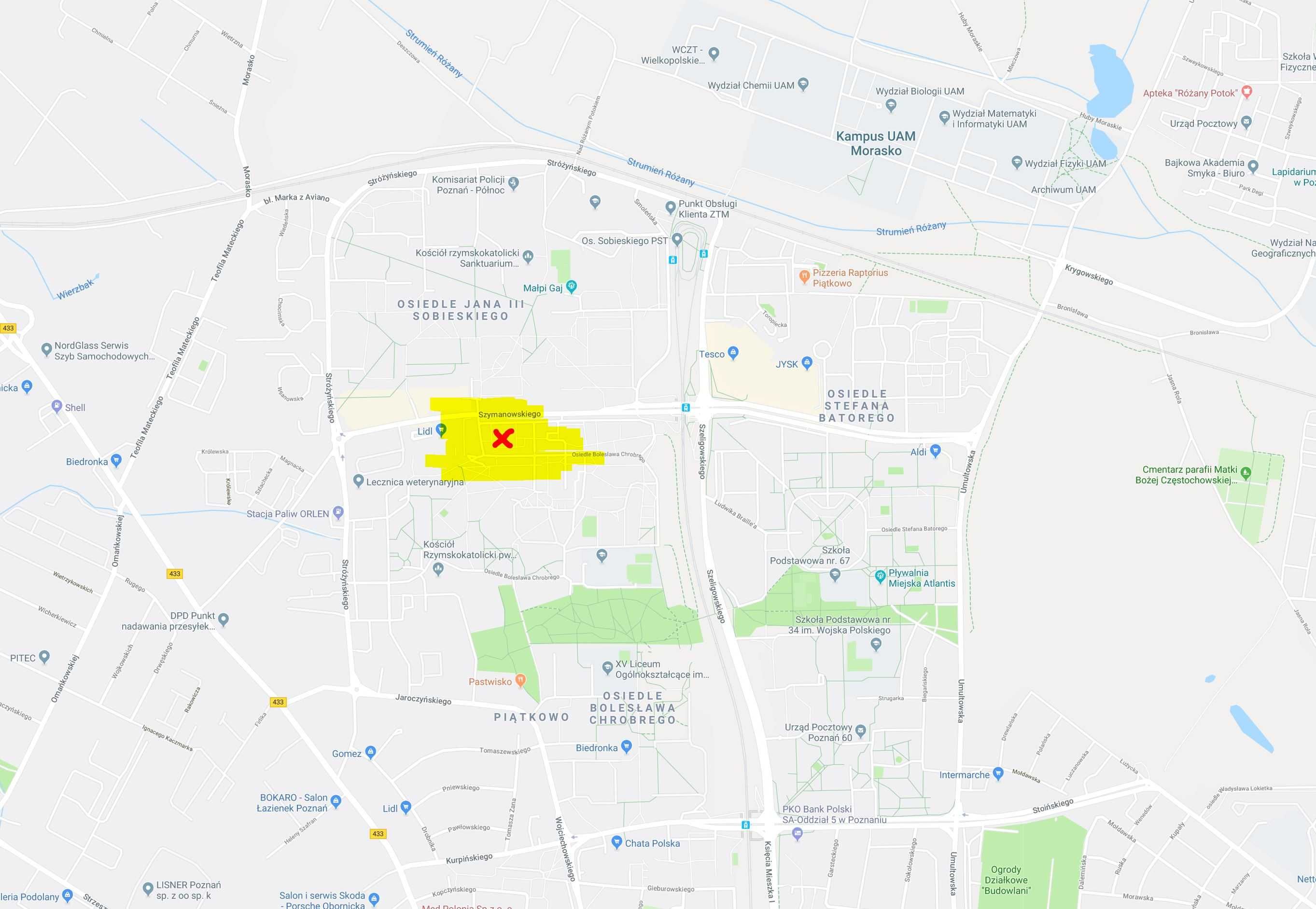 Duży jasny pokój - poddasze na Piątkowie