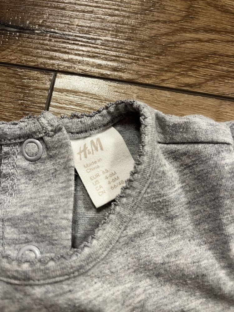 Bluzka h&m 68 kot kotek dlugi rękaw