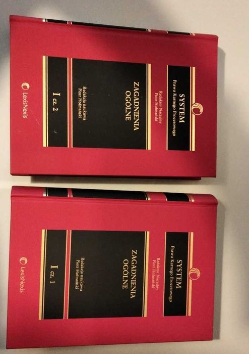 System Prawa Karnego Procesowego, Tom I, cz. 1 i 2, stan idealny