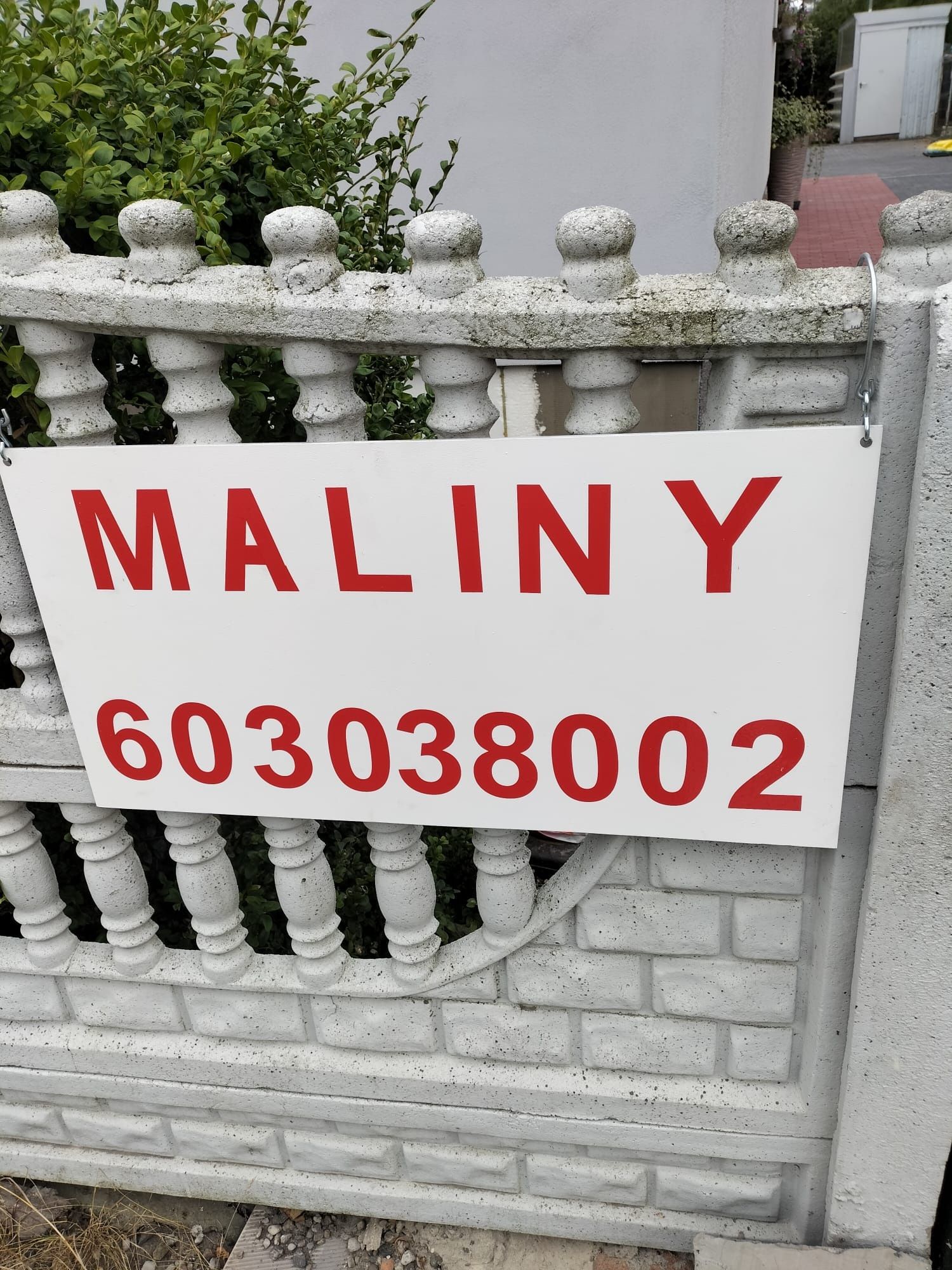 Maliny bez nawozów