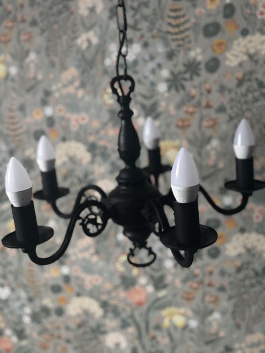 Sorzedam lapę sufitową