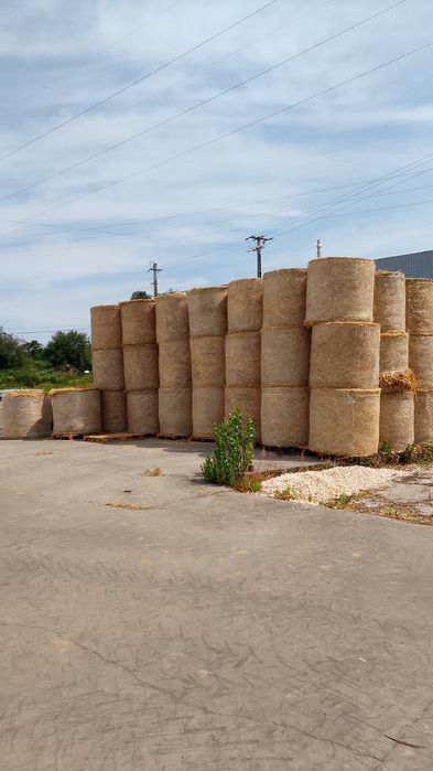 Feno mistura aveia com grão e azevém