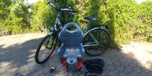 Rower Pegasus miejski 28", Shwalbe, Bellelli, Nexus