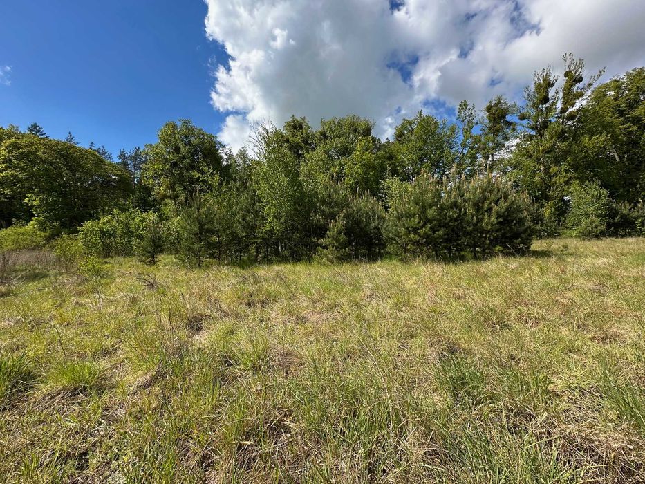 Działka budowlana 800 m² | MPZP | spokojna okolica | 25 min od Gdańska