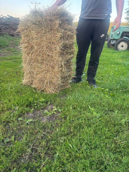 Siano Kosti i baloty