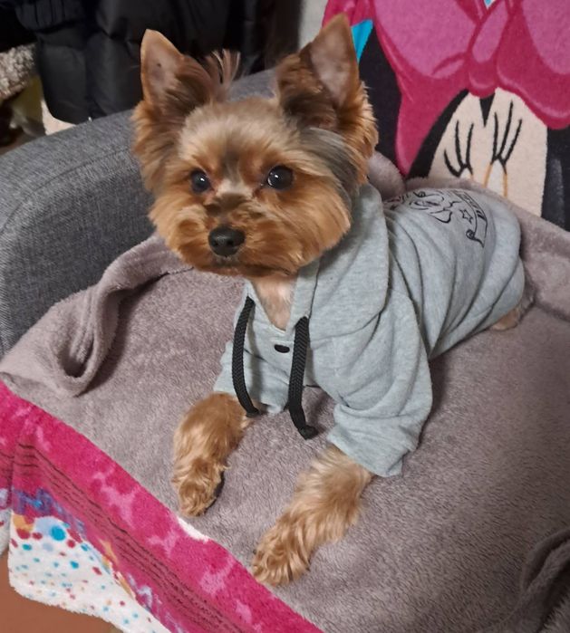 Чудовий хлопець шукає дівчину