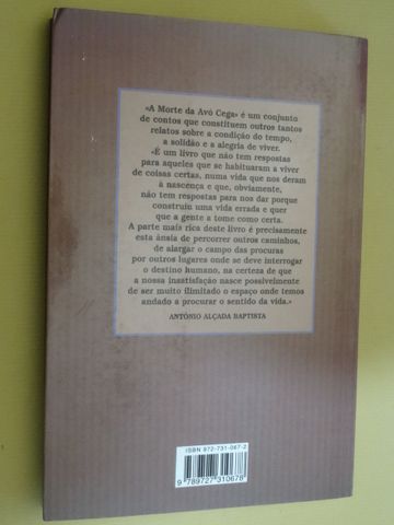 A Morte da Avó Cega de Manuel Gonzaga