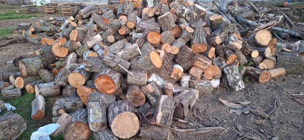 Opał drewno liściaste