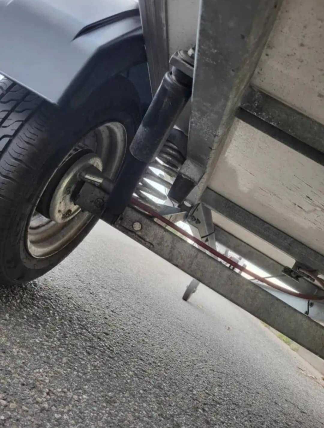 Przyczepka do przewozu psów