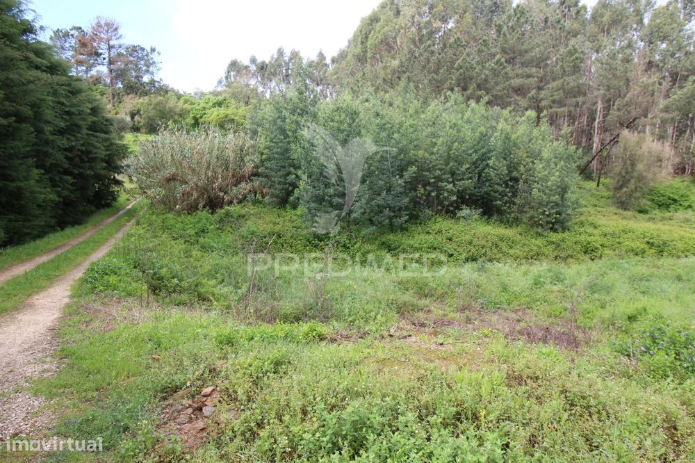 Terreno com possibilidade de  construção