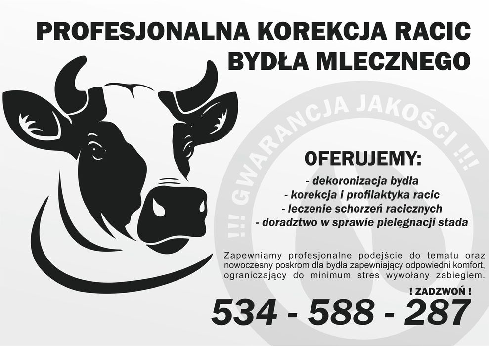 HoofCare korekcja racic u bydła