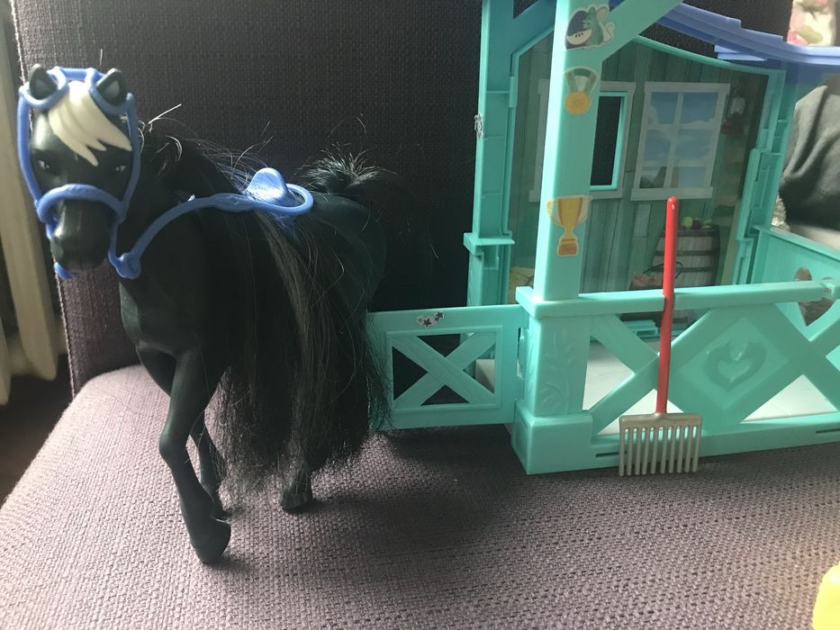 Czarny koń w stajni